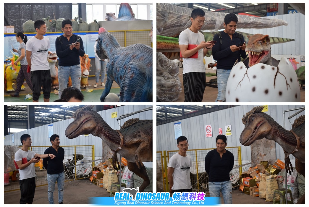 南美玻利维亚的客户