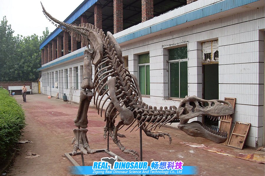 恐龙化石骨架制作
